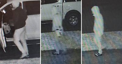 Footage released amid investigation into firearm theft, car fire