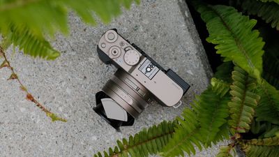 "We identified a minor cosmetic issue" –The delay behind the trendy Panasonic Lumix L10 compact camera wasn't just about high demand