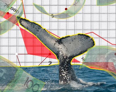 The Crunch: Whale migration, house prices on the move, and a lot of missing cash