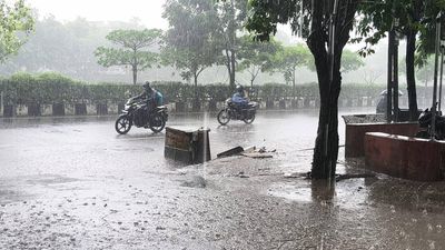 Telangana, Andhra Pradesh Weather today, July 17: Rain likely in several districts; check IMD forecast