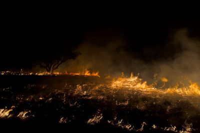 Ontario Wildfire Creates Giant Smoke Plume Seen Thousands of Feet Above Ground