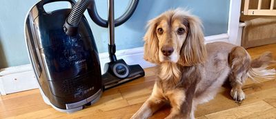 Miele Guard M1 Cat and Dog Flex review: The gold standard for pet hair