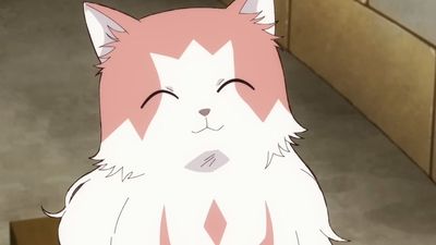 My favorite new anime is a rare, not-isekai fantasy about a dragon raised by cats