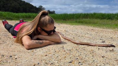 An Australian cyclist accidentally trapped a 2-metre venomous eastern brown snake in her bike chain, then it bit her