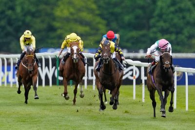 Friday’s racing tips: Best bets and odds for Newbury, Pontefract and Hamilton