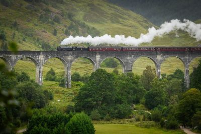 Steam trains banned nationwide after service sparks wildfire
