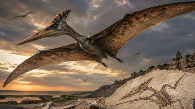 Germany's fossil-rich limestone has revealed prehistoric giants for centuries, but scientists have now uncovered a previously unknown flying reptile that lived 150 million years ago