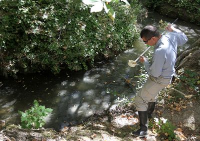 Phoenix Leads the Nation in West Nile Virus Deaths as 2026 Season Becomes Worst in Over Two Decades