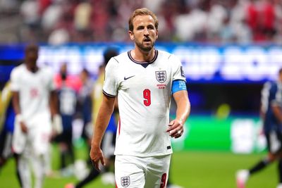 Fact check: Dogs in hot cars and fake Harry Kane quote