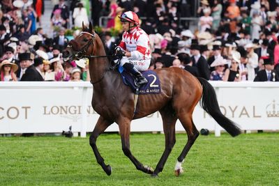 Saturday’s racing tips: Best bets and odds from Market Rasen and Newbury