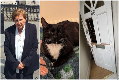 Top ex-lawyer, 79, sues Met Police and RSPCA after door 'chopped down with axe' at London home to seize cat