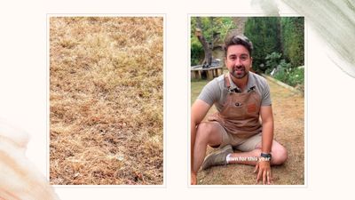 Does your lawn resemble a dried-up desert? Don't panic – there's still hope for it this summer