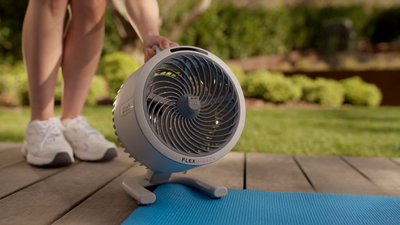 I've tested almost every type of fan, but one stands head and shoulders above the rest