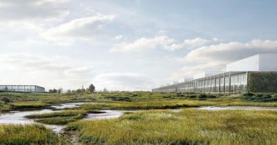 Giant AI data centre plans on hold after environmental watchdog objects