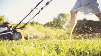 Why You Should Start 'Grasscycling' This Week – It's the Secret to a Hydrated Summer Lawn