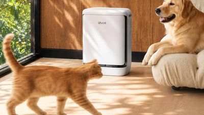 Levoit just made an air purifier for your pets