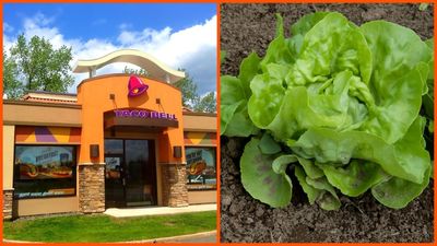 The Real Culprit Behind Taco Bell Parasite Outbreak Has Been Uncovered