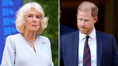 Prince Harry's 'complex feelings' for stepmother Queen Camilla must be put aside if he wants royal reconciliation with King Charles