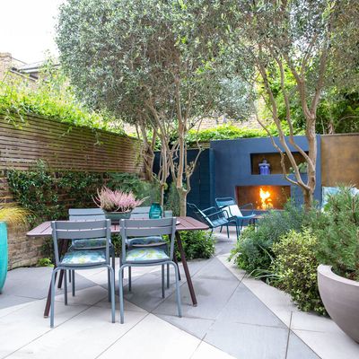 8 low-maintenance Mediterranean plants that can cope with hot, sunny weather – they'll thrive and flower despite dry spells