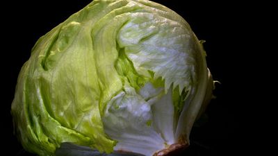 'Explosive diarrhea' parasite infections in 5 states linked to Taco Bell lettuce; other cases still under investigation