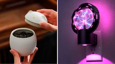 65 Weird New Things Under $20 That We're Loving Right Now