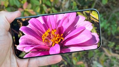 I’ve been using my iPhone as a real-life Pokédex to scan every bug in my garden this summer