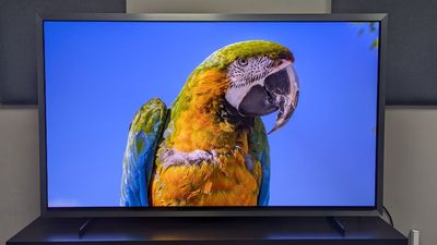 The Samsung S99H is one of the best OLED TVs I've ever tested, even if it does feature a controversial design