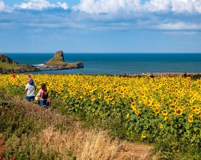 20 brilliant UK family days out for summer