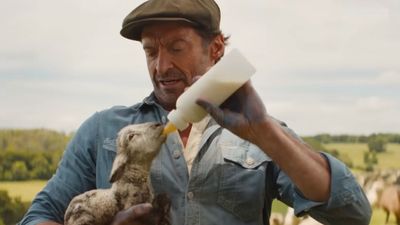 After The Sheep Detectives, I Had To Dive Into The Truth Behind Winter Sheep