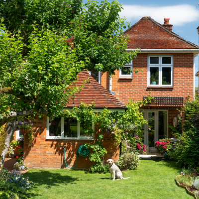 3 fast-growing trees and shrubs that create shade in a garden and help cool it down, according to experts