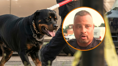 Ohio cop shoots pet dog but hits fellow officer, no arrests made, dog euthanized, owner charged