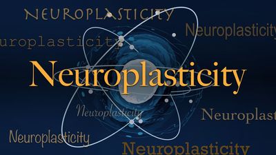Science word of the day: Neuroplasticity