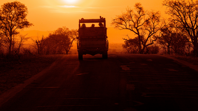 India set to get night safari soon. Check where, how to reach and what to expect