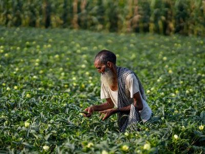 Complaints on quality of seeds, fertilisers and pesticides to be probed, resolved in 7 days: Bharane