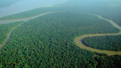 Every year, about 27.7 million tons of Saharan dust cross the Atlantic Ocean and settle on the Amazon rainforest, delivering phosphorus close to the amount the rainforest loses to runoff, meaning the world’s largest rainforest is partly fertilised by dust from the planet’s largest hot desert thousands of miles away