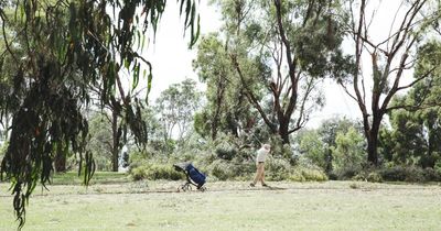 Phone tower planned for golf course to boost signal in Belconnen