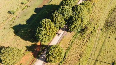 Canefields to ocean to rolling hills: vision splendid of 135km northern NSW rail trail short-changed