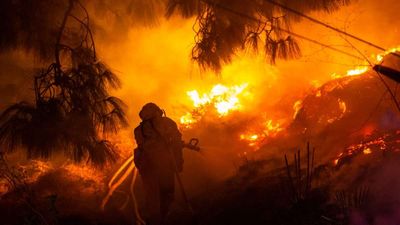Trump's Pernicious Threat to Impose Tariffs on Canada in Response to Wildfires