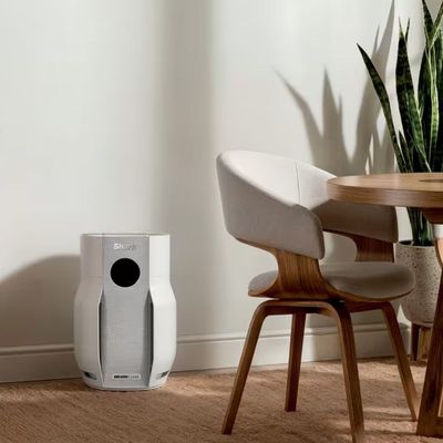 Shark just solved the biggest (and most expensive) problem I have with air purifiers – and this new model is set to be my new summer must-have