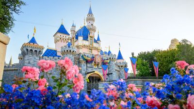 Price Increases Becoming Inevitable At Disneyland, But I Didn't See 800 Items Coming