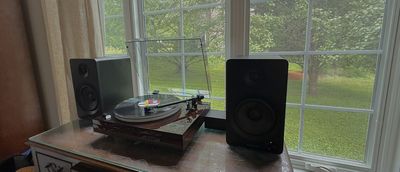 I breathed new life into my vinyl with Fluance's RT87 turntable and while setup was finicky, it's well worth it for seasoned record collectors