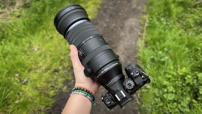 "Birds are the great equalizer in wildlife photography." A flash of movement caught my eye. When I looked out my window, I grabbed my wildlife camera gear and started running