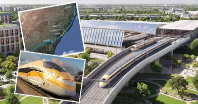 High-speed rail delivery partner comes on board to get project moving