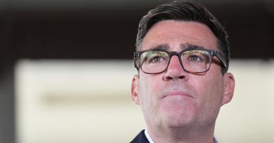 Andy Burnham to scrap Keir Starmer's digital ID scheme