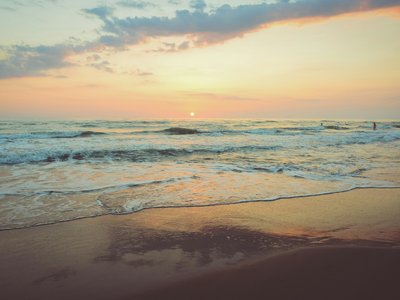 Goa declares 1.02 crore sq m of eco-sensitive land as No Development Zone