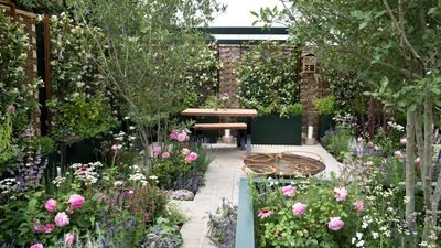 5 Small Garden Mistakes That Leave Your Outdoor Space Looking Cramped – And the Simple Tricks to Make it Feel Twice as Big