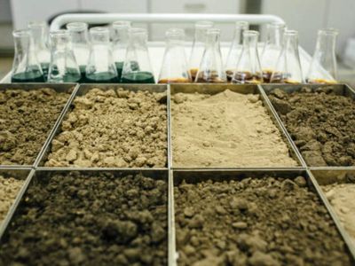 Dr Reddy's Foundation soil testing lab set to hit 1-lakh sample mark ahead of 2026 rabi season