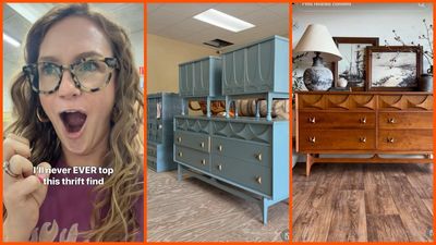 ‘Cashed in my lifetime karma points’: Florida furniture flipper just sold vintage set for 78x the price she got it for at a thrift store