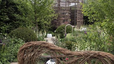 Midsummer Pruning Can Do More Harm Than Good – 5 Plants to Never Prune in July