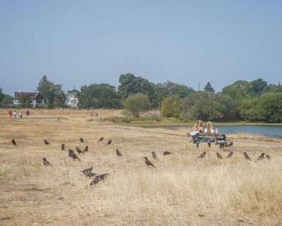 A rhyme to recall rising temperatures